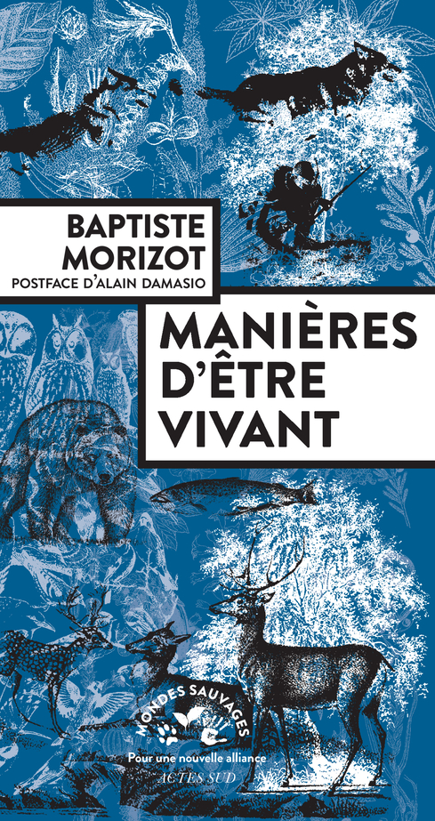 manières d'être vivant baptiste morizot