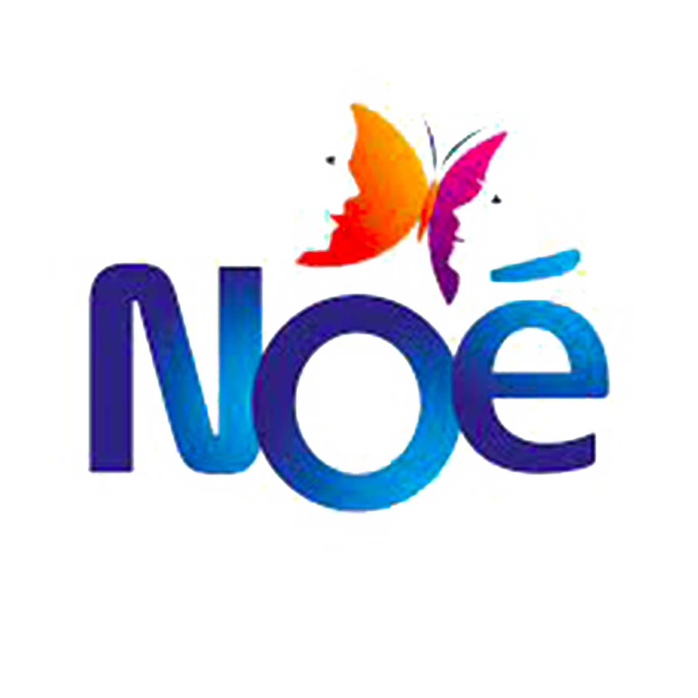 noé association