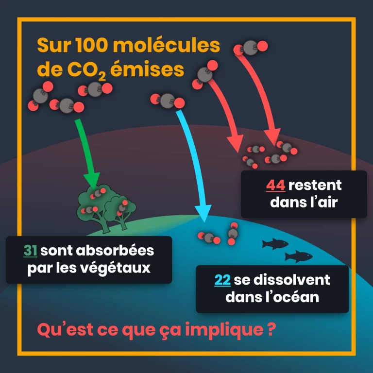 3_emissions_de_CO2_repartition.png