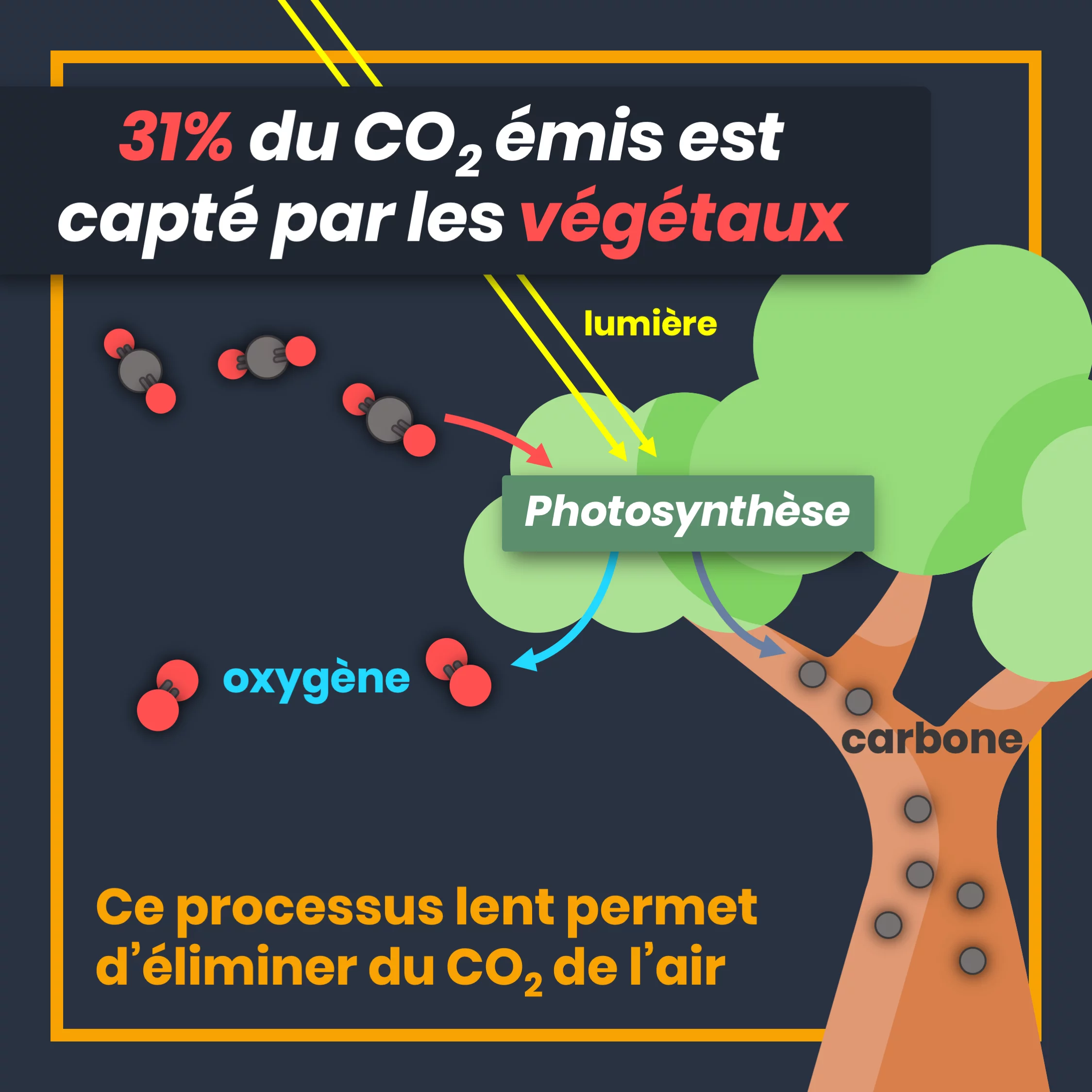 5_emissions_de_CO2_vegetation.png