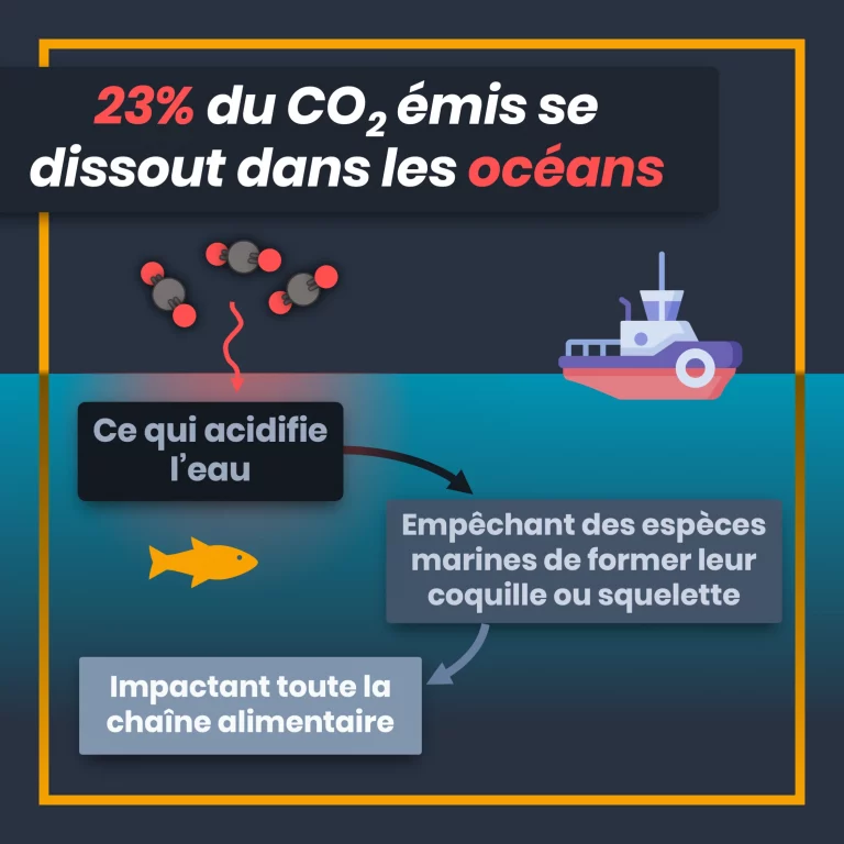 6_emissions_de_CO2_oceans.png