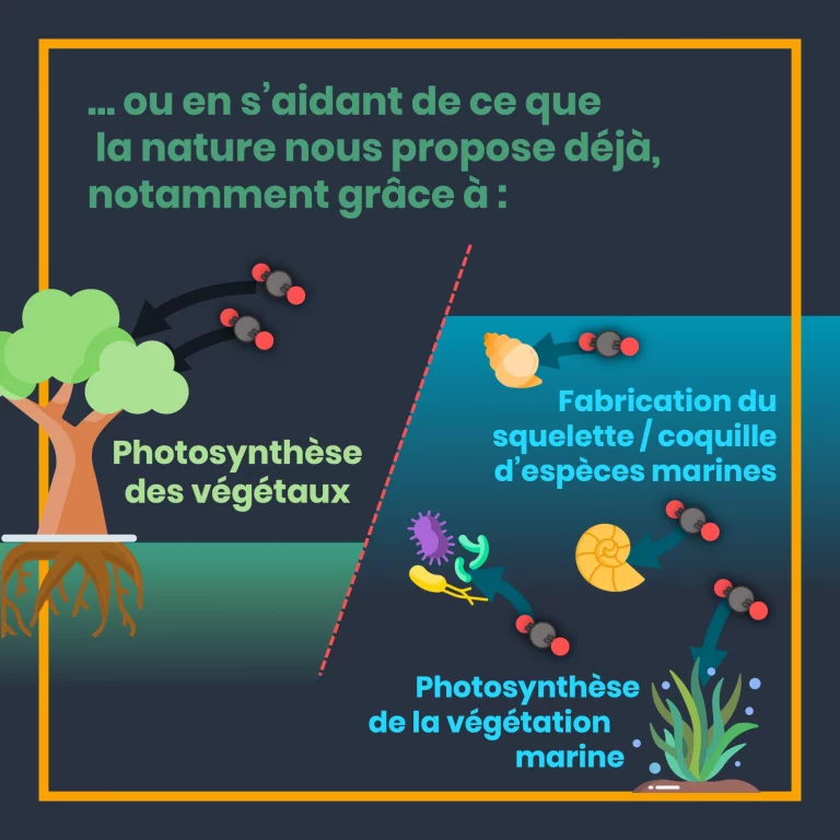8_emissions_de_CO2_capture.png