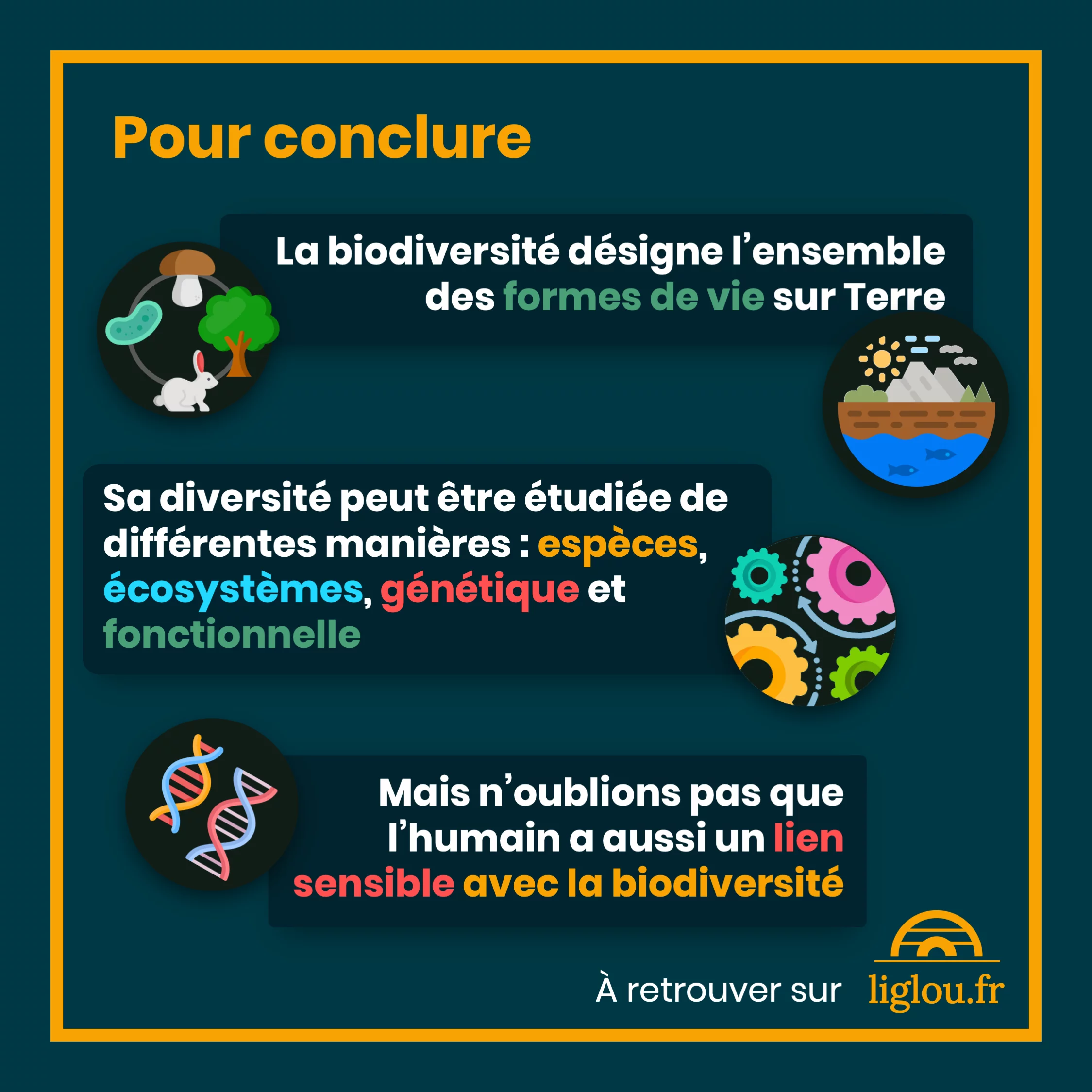 definition_biodiversite_11_conclusion.png