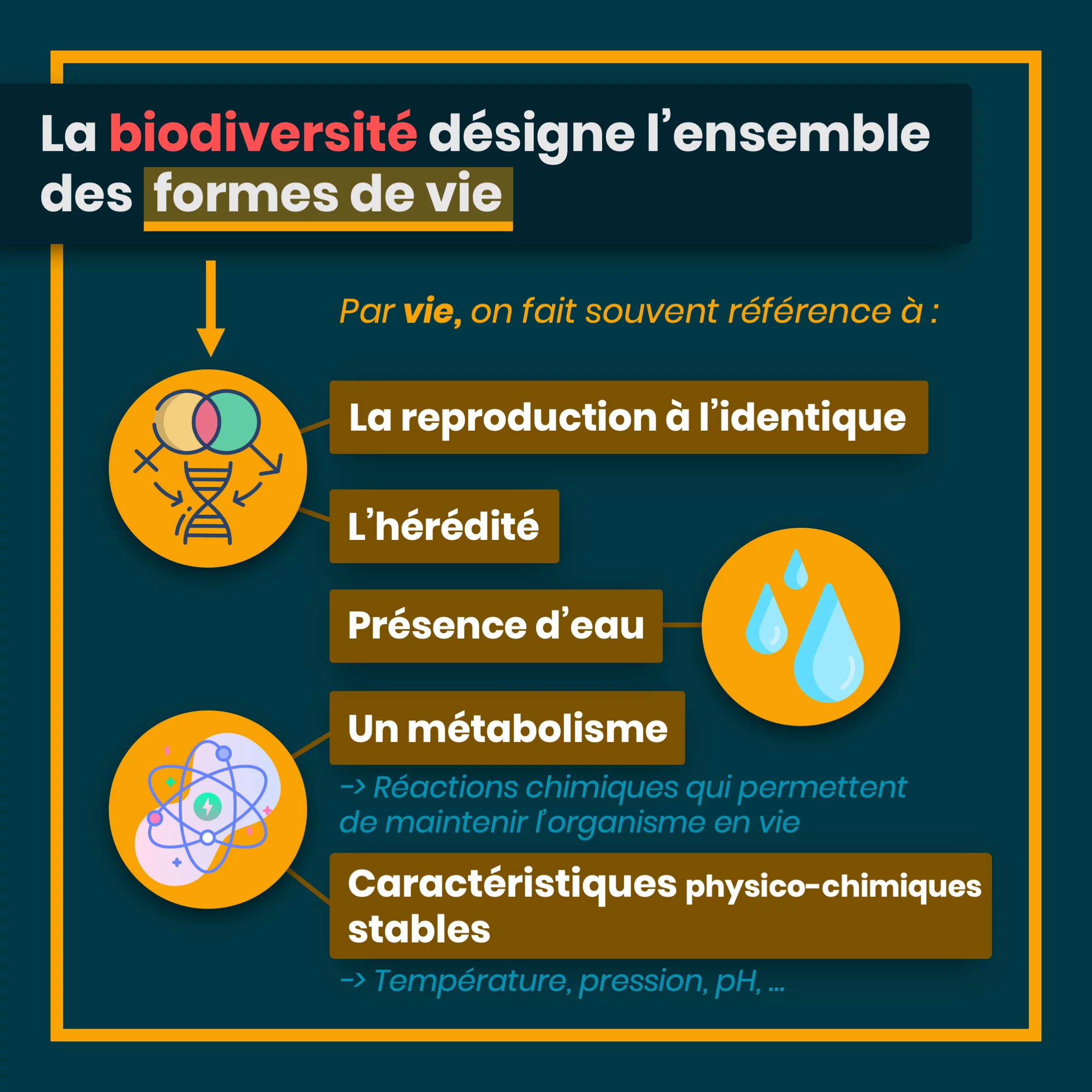 definition_biodiversite_3_vie.png