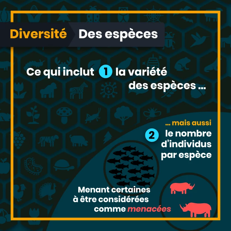 definition_biodiversite_5_eespeces.png