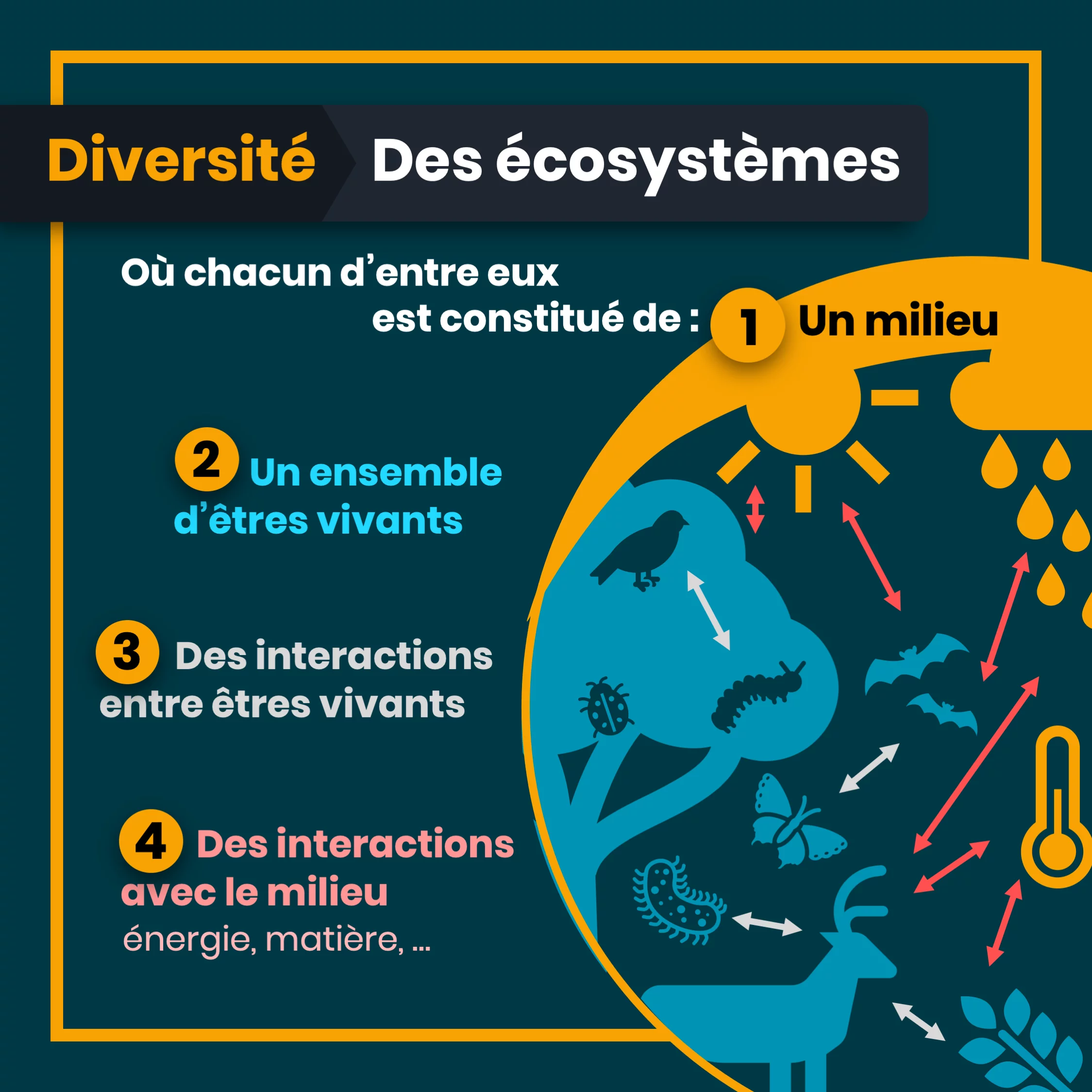 definition_biodiversite_6_ecosystemes.png