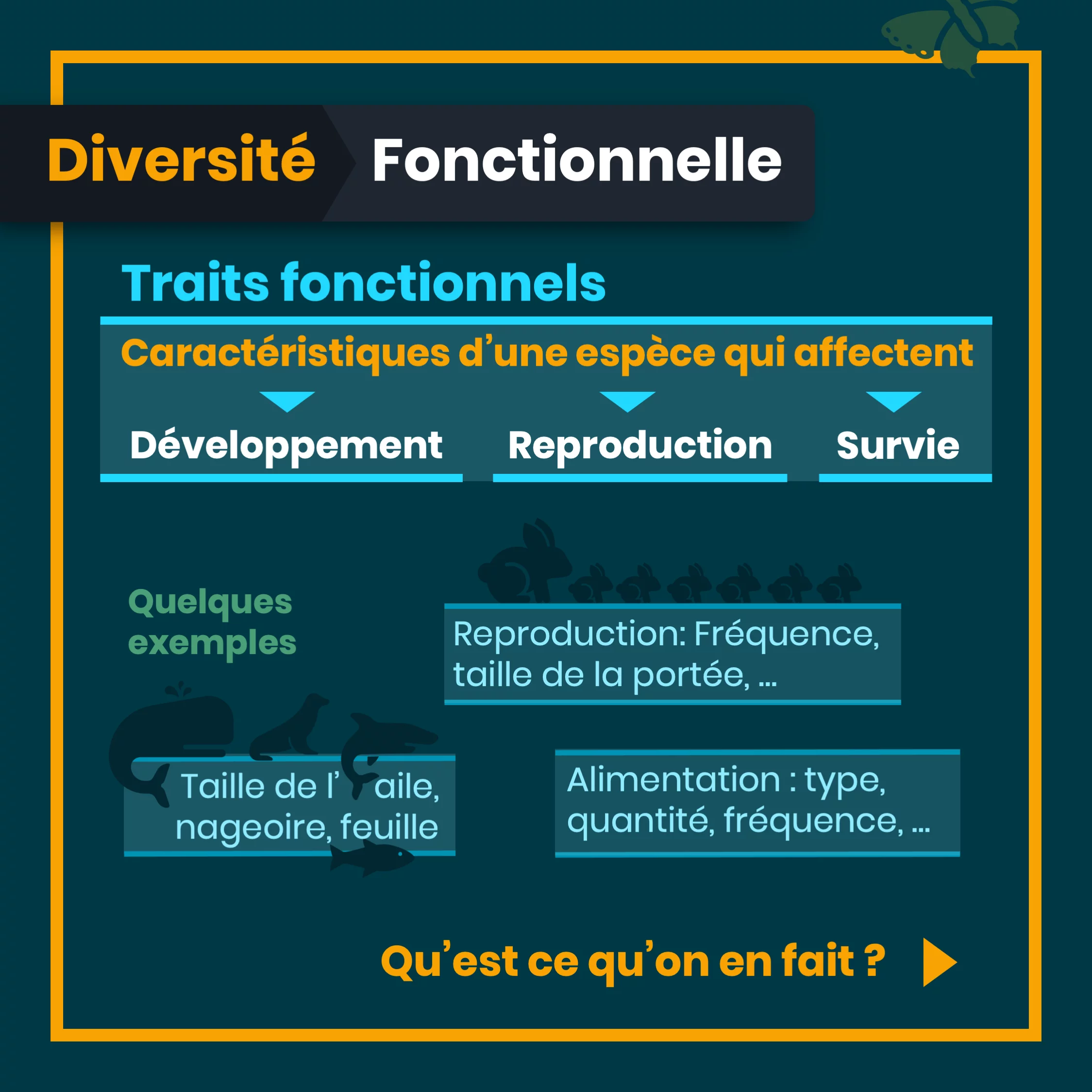 definition_biodiversite_8_fonctionnelle.png