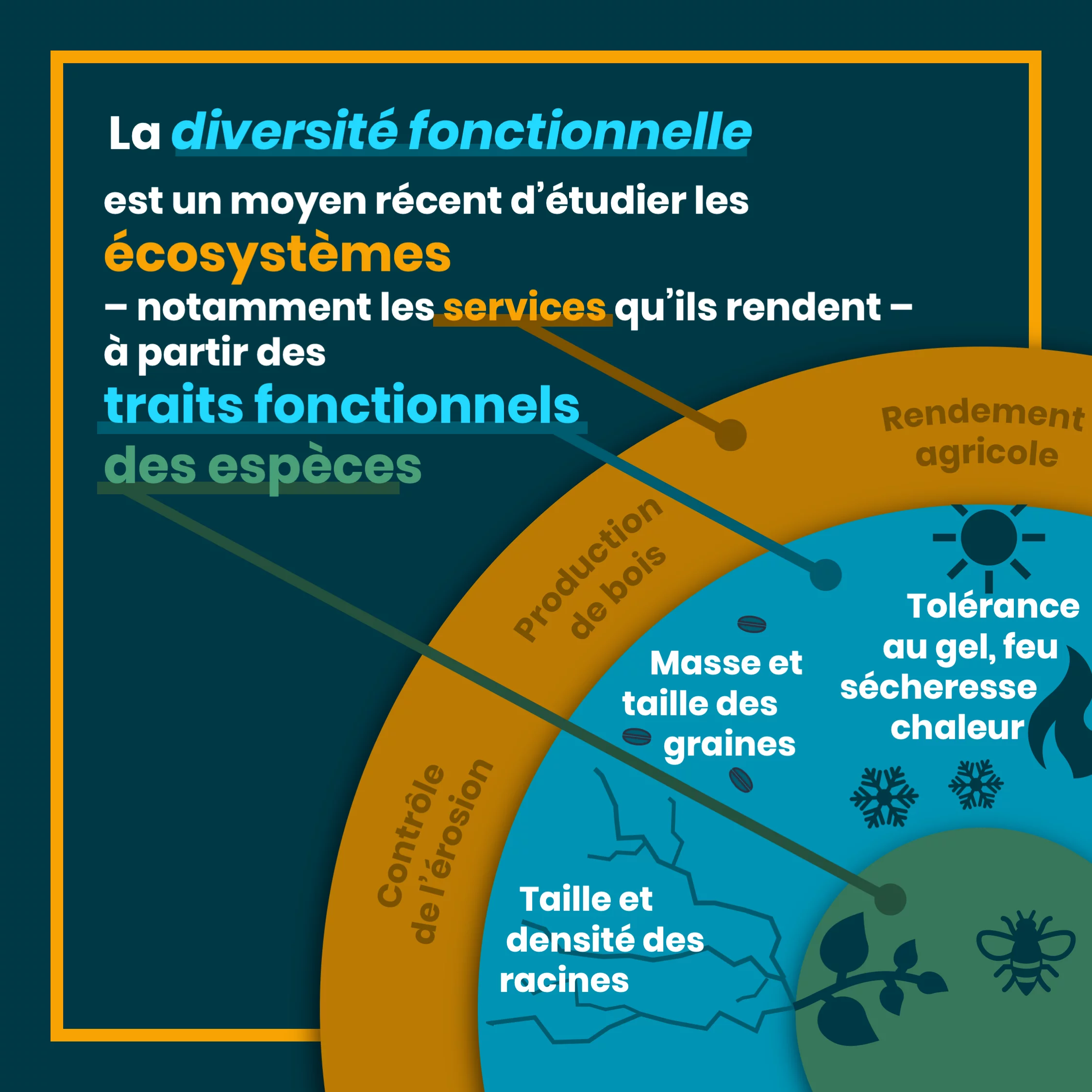 definition_biodiversite_9_fonctionnelle_2.png