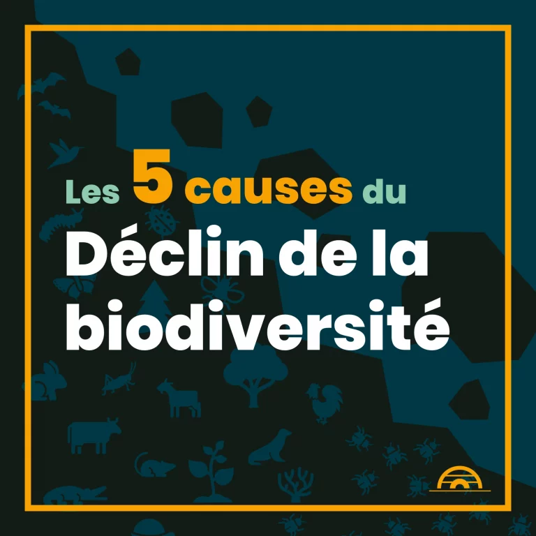 erosion_biodiversite_1.png