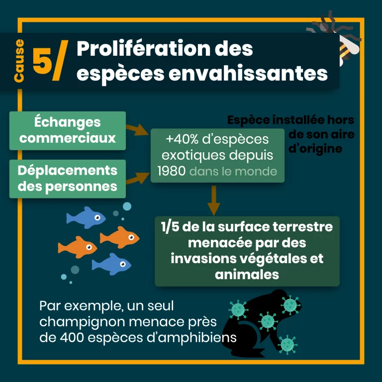 erosion_biodiversite_10.png