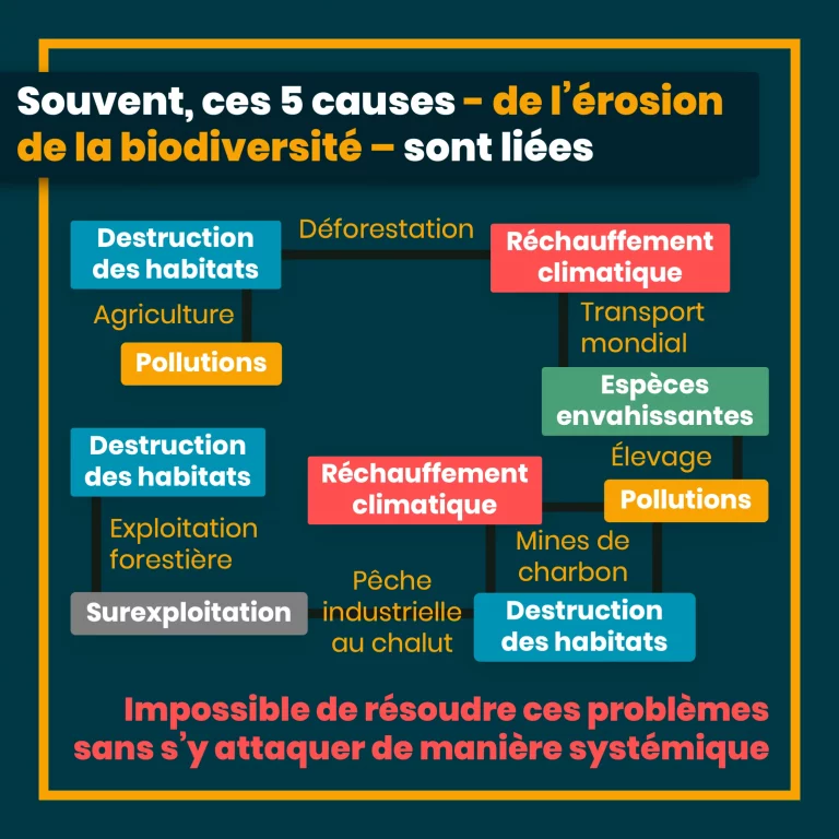 erosion_biodiversite_11.png