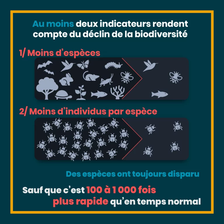 erosion_biodiversite_3.png