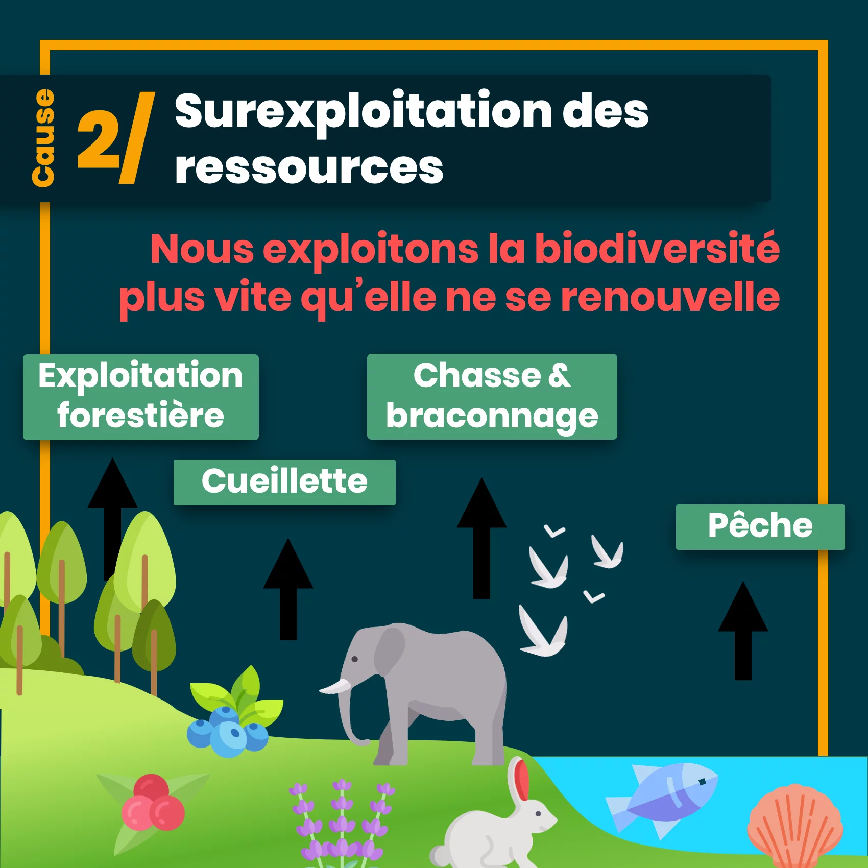 erosion_biodiversite_7.png