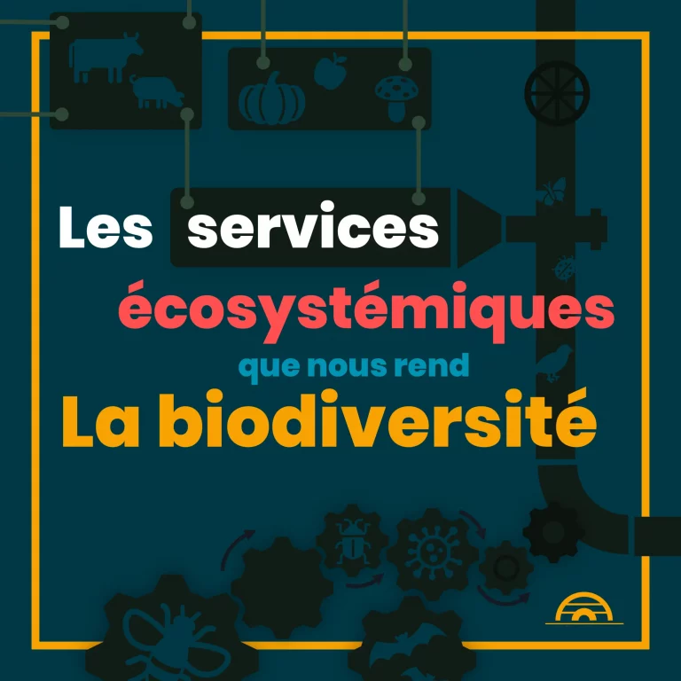 services_ecosystemiques_1.png
