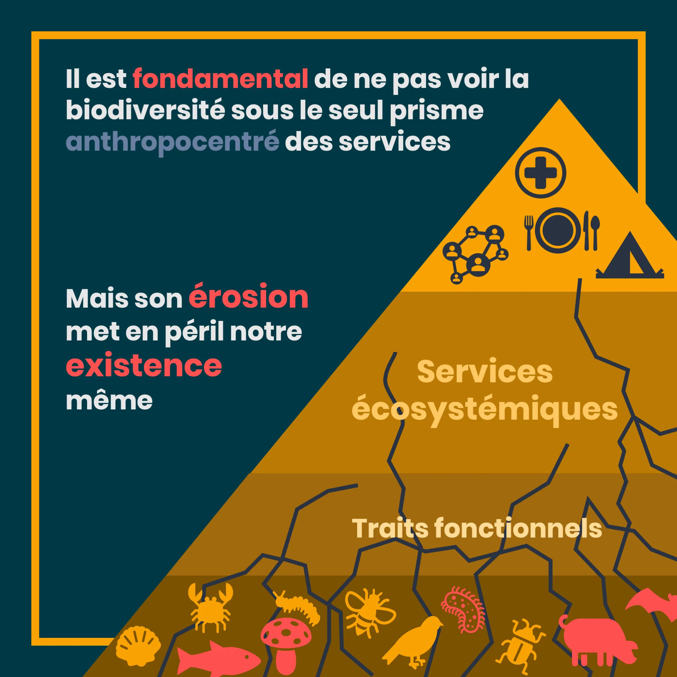 services_ecosystemiques_11_peril.png