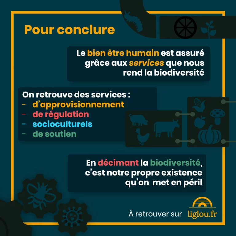 services_ecosystemiques_12_conclusion.png