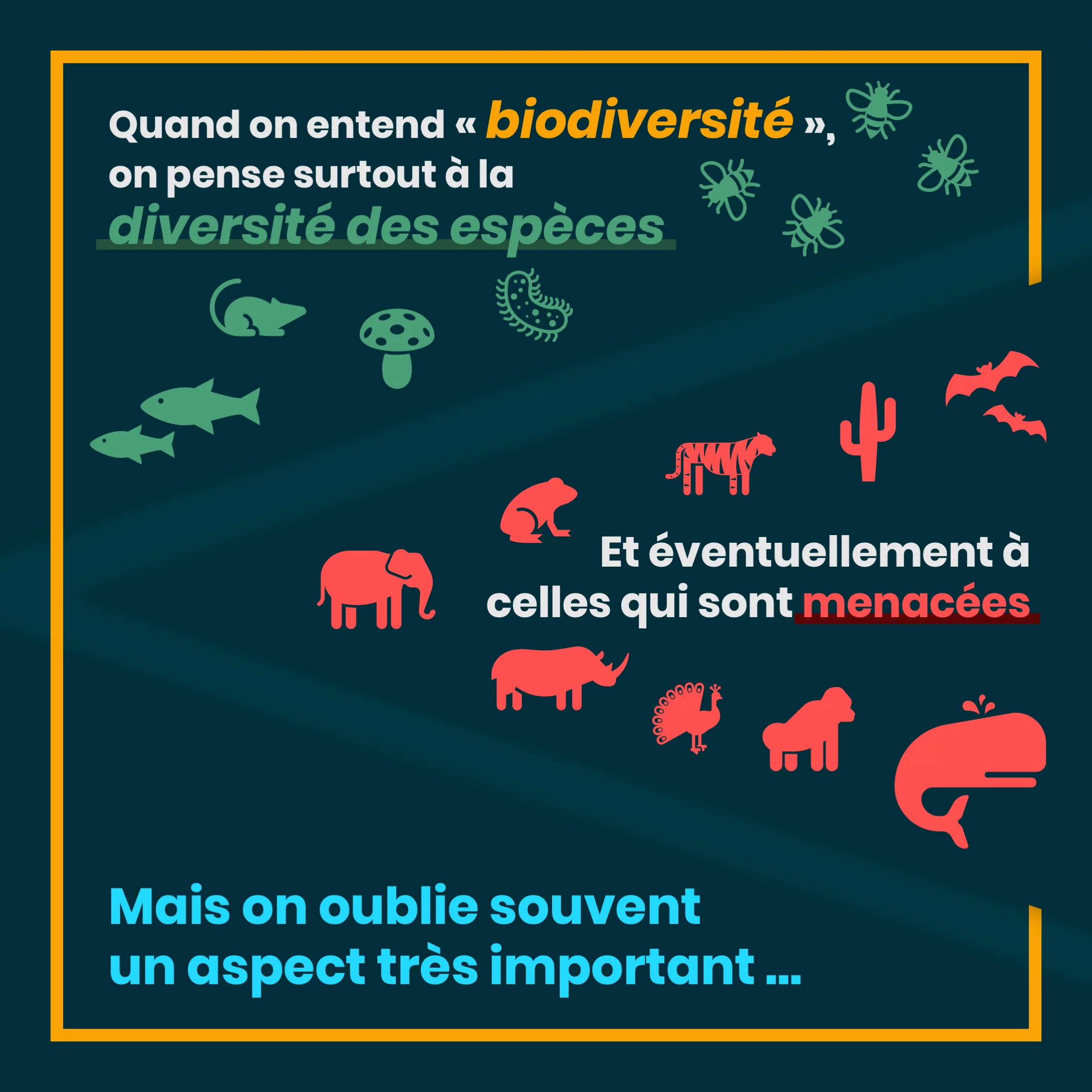 services_ecosystemiques_2_biodiversite.png