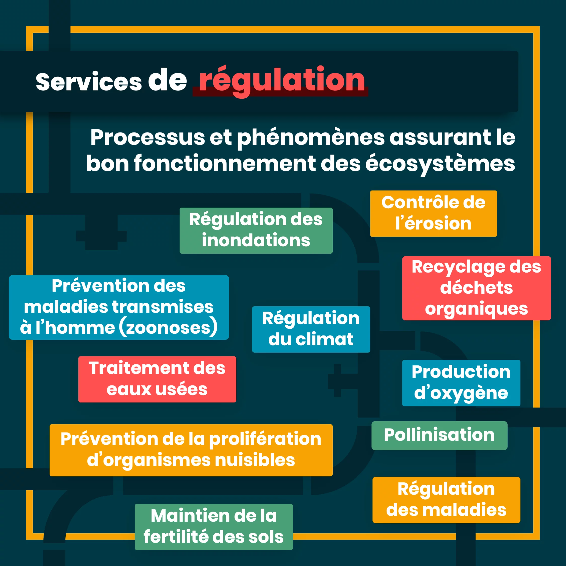 services_ecosystemiques_6_regulation.png