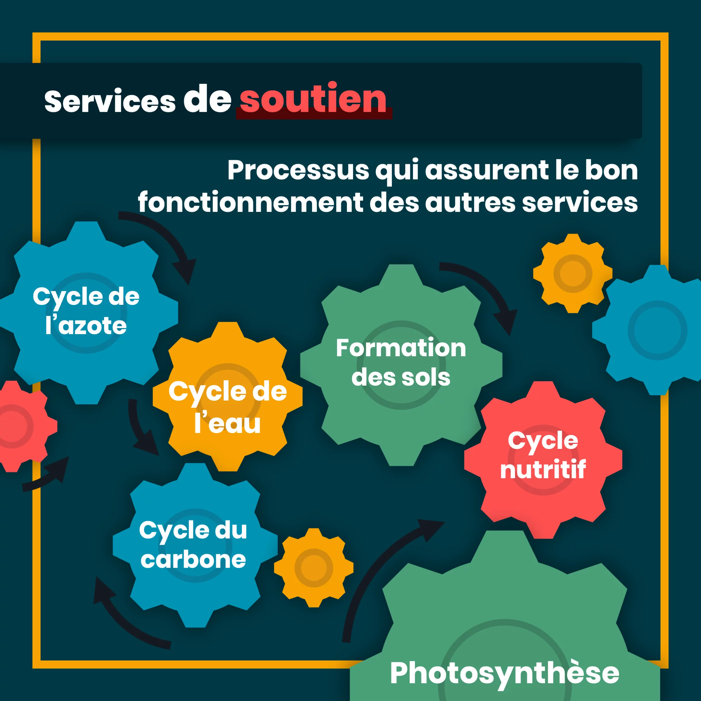 services_ecosystemiques_8_soutien.png