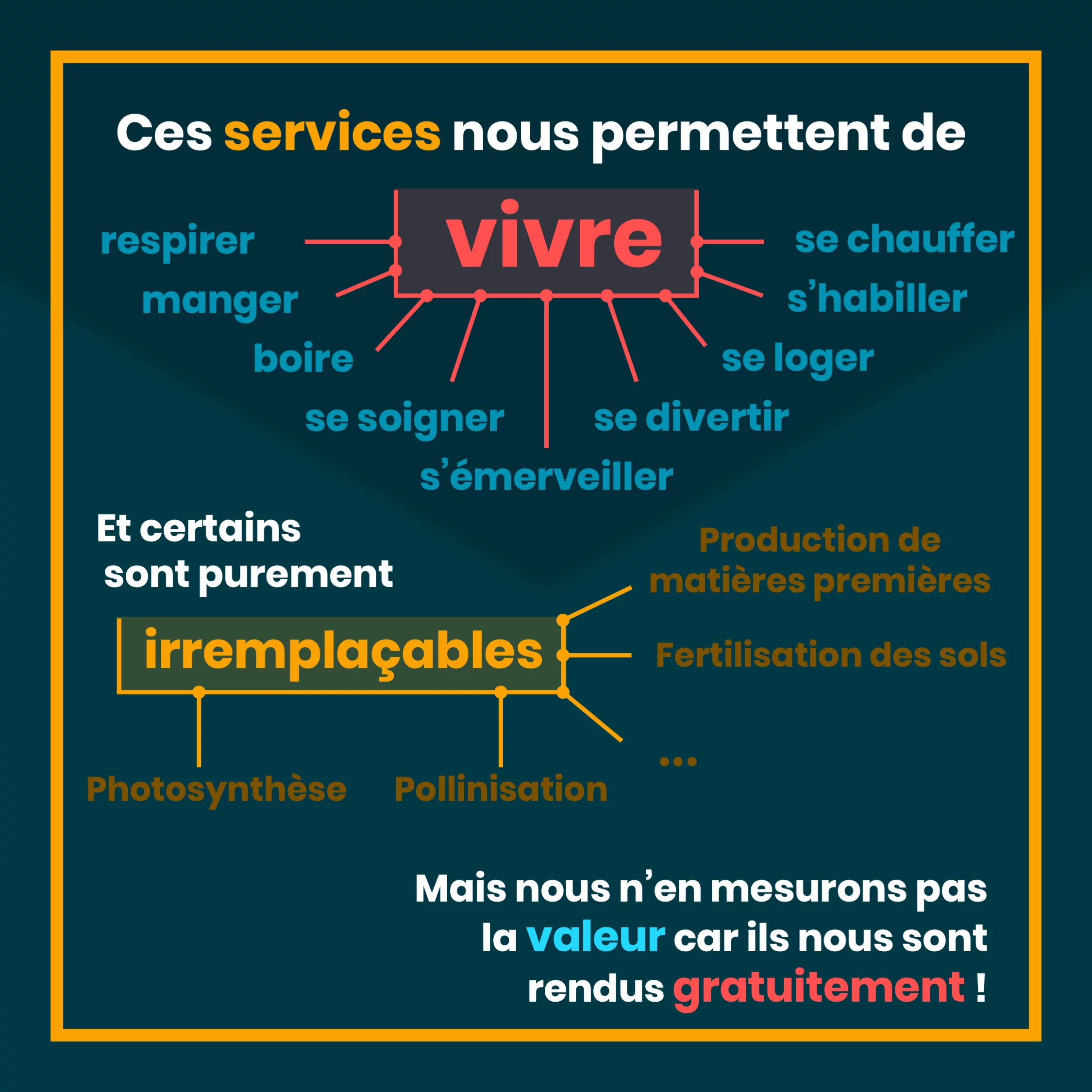 services_ecosystemiques_9_irremplacales.png